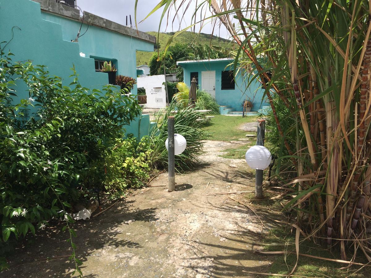 Vicky'S Keys Hostel Upper Prince's Quarter Bagian luar foto