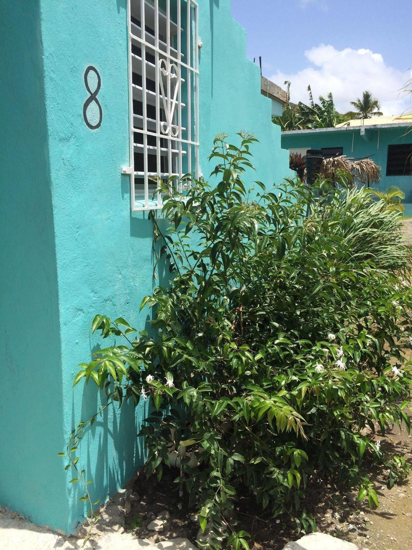 Vicky'S Keys Hostel Upper Prince's Quarter Bagian luar foto