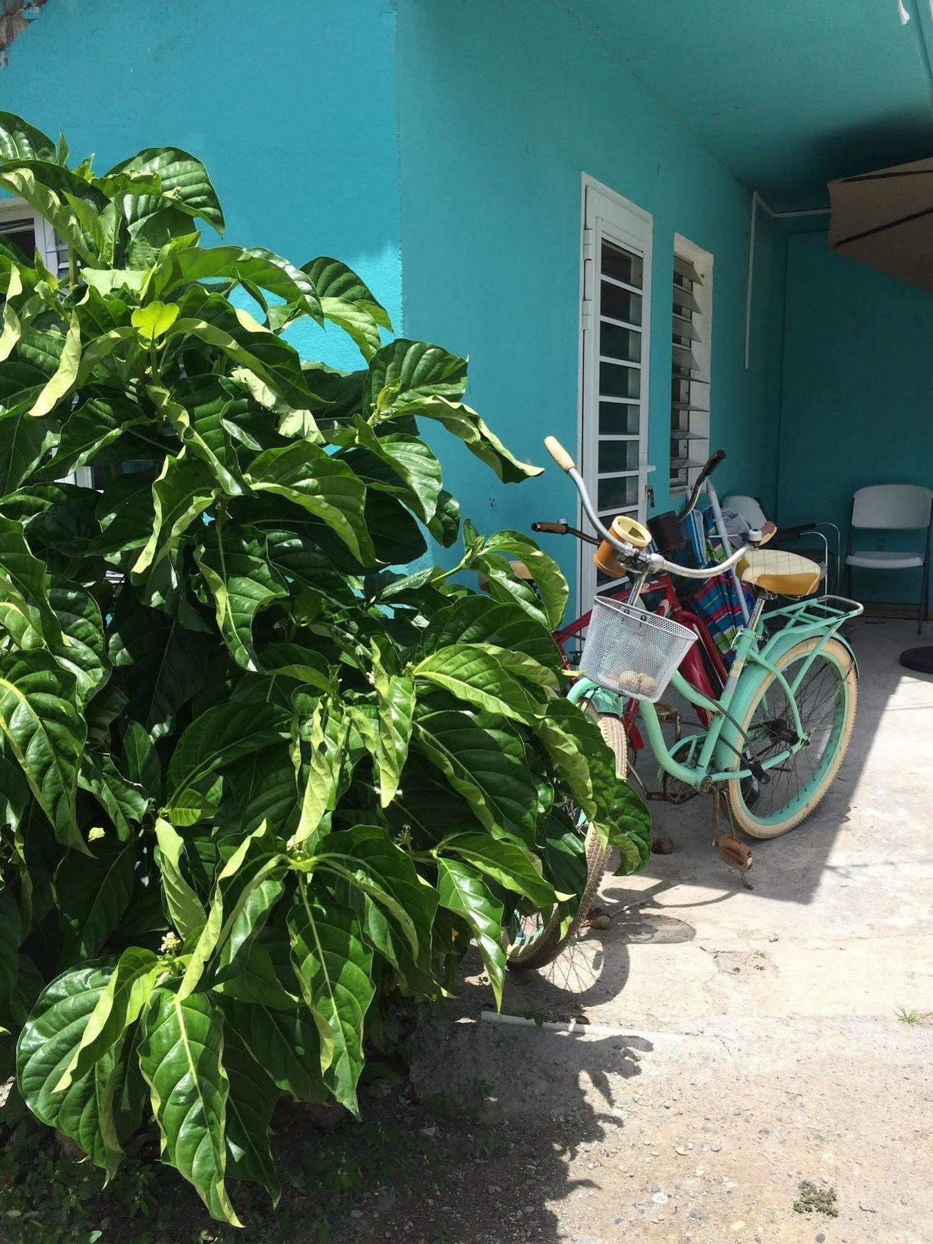 Vicky'S Keys Hostel Upper Prince's Quarter Bagian luar foto